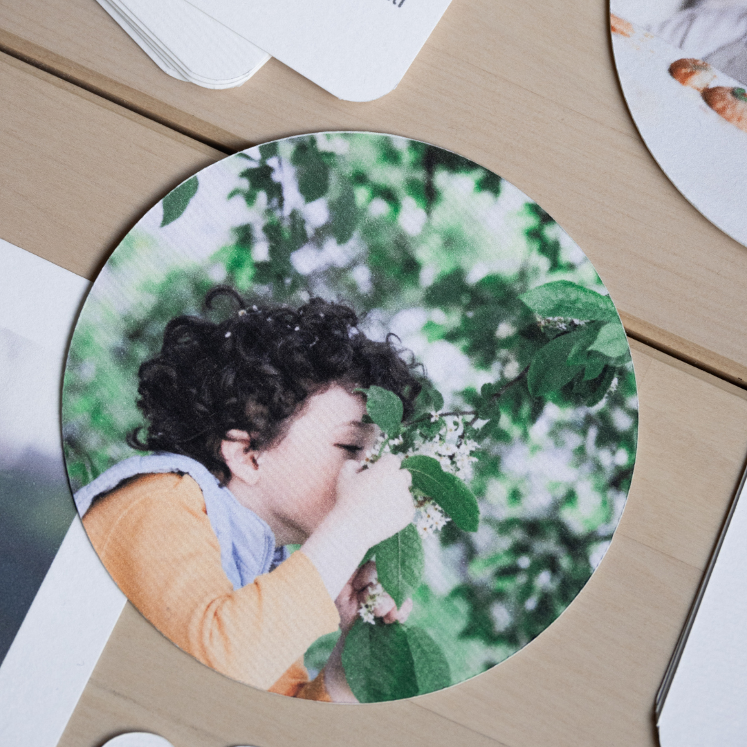 DIGITALNI Interaktivni set PDF - Ljudsko telo