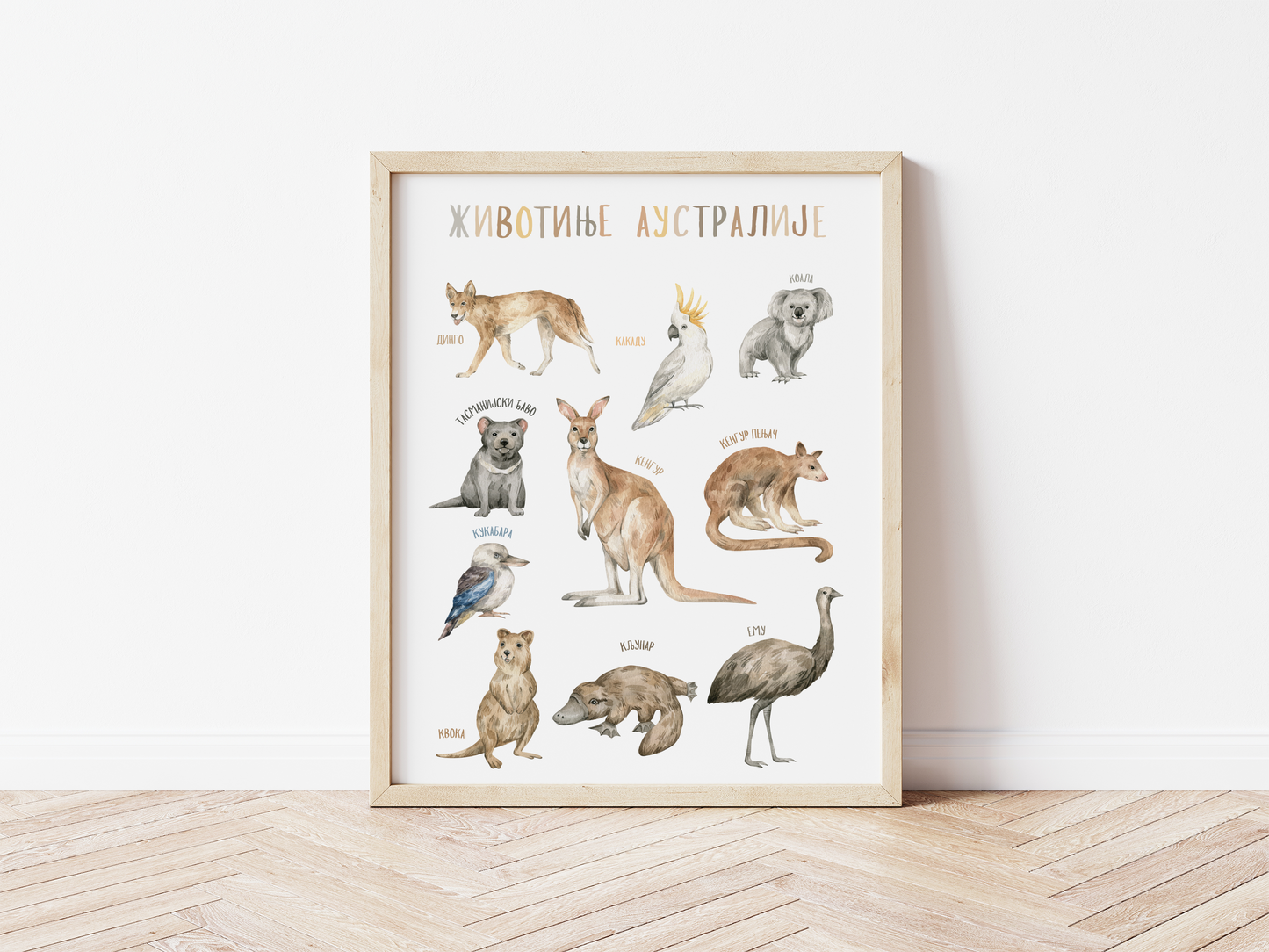 Set 8 DIGITALNIH postera - Životinje sveta