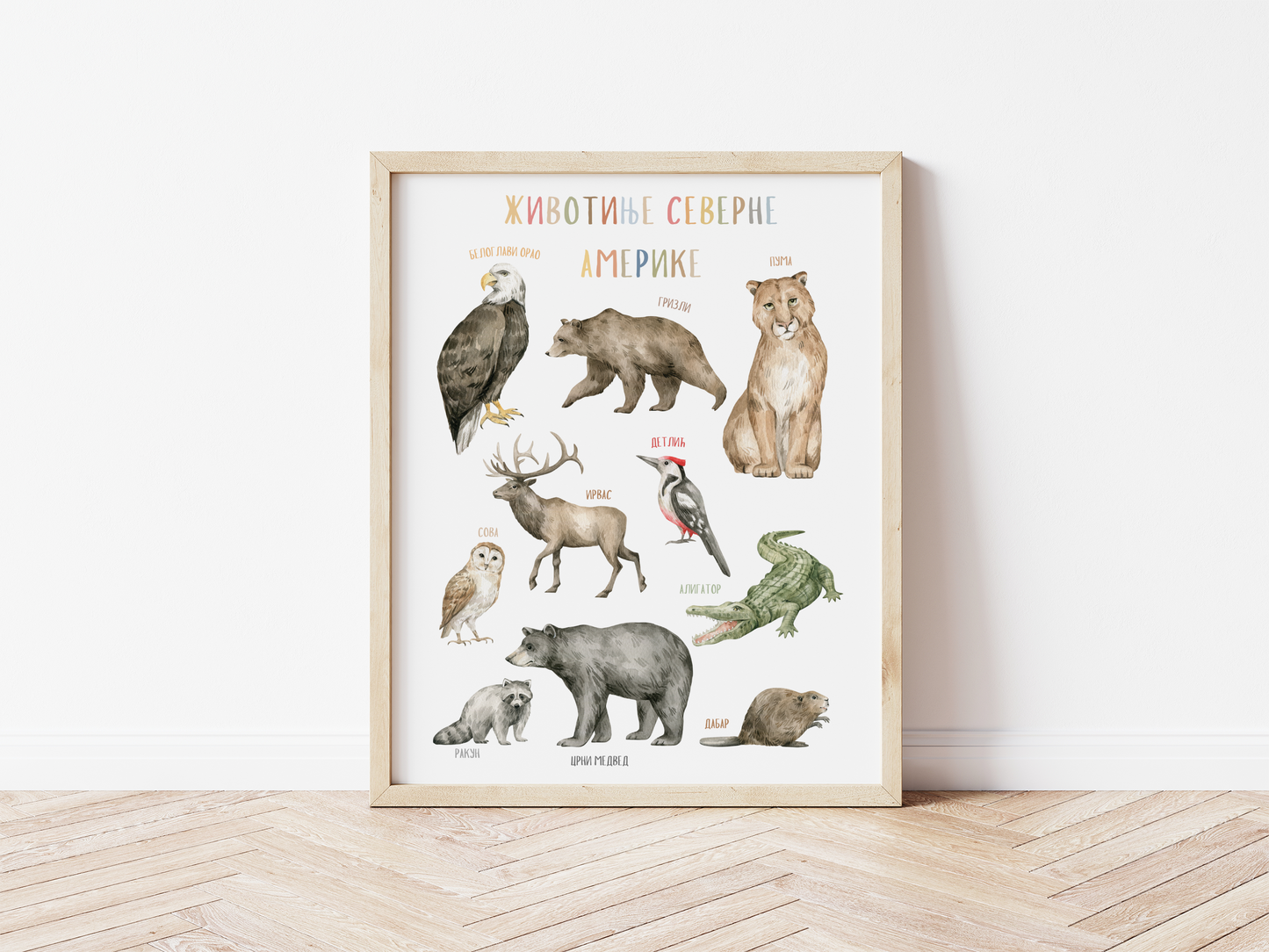 Set 8 DIGITALNIH postera - Životinje sveta