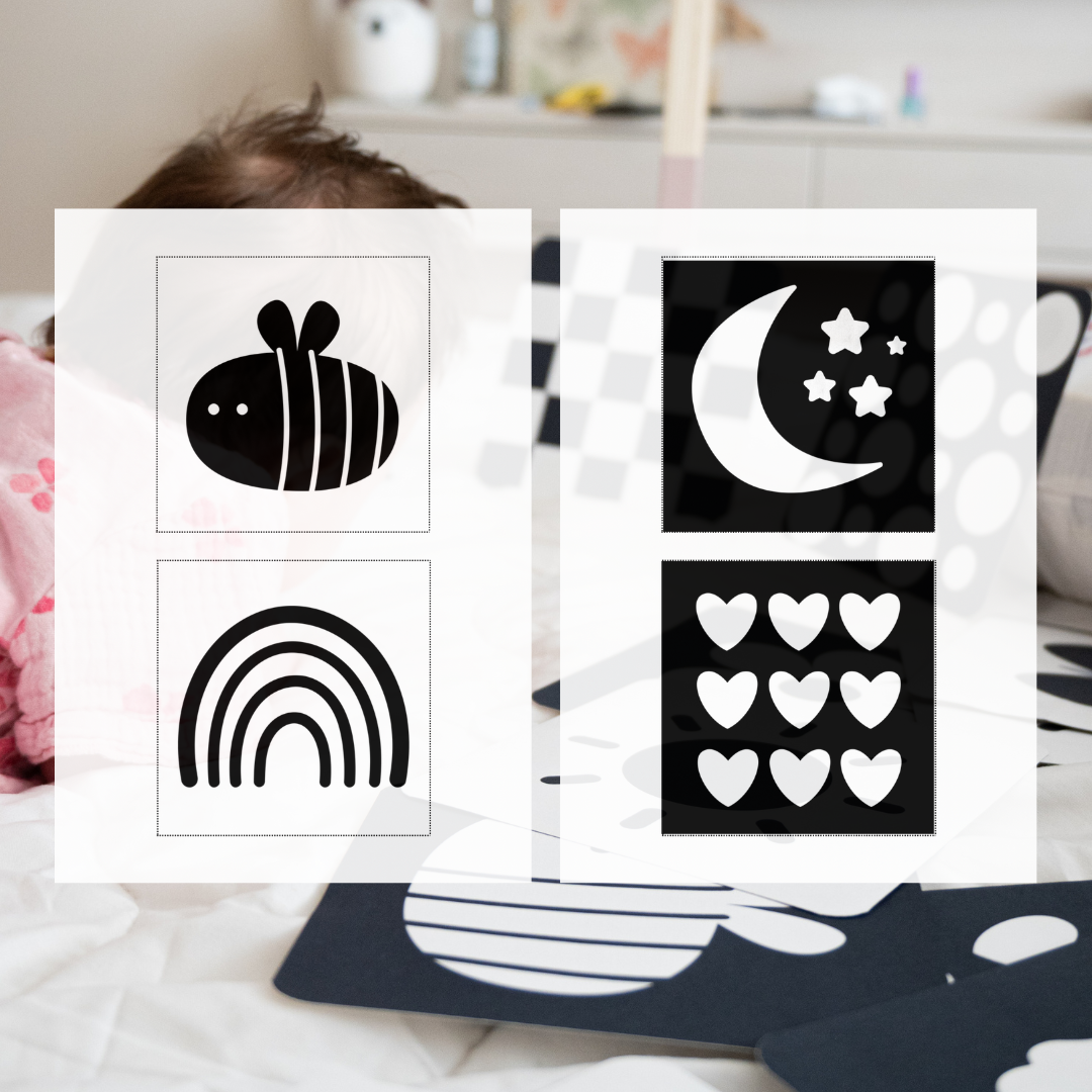 HRVATSKI DIGITALNI PAKET