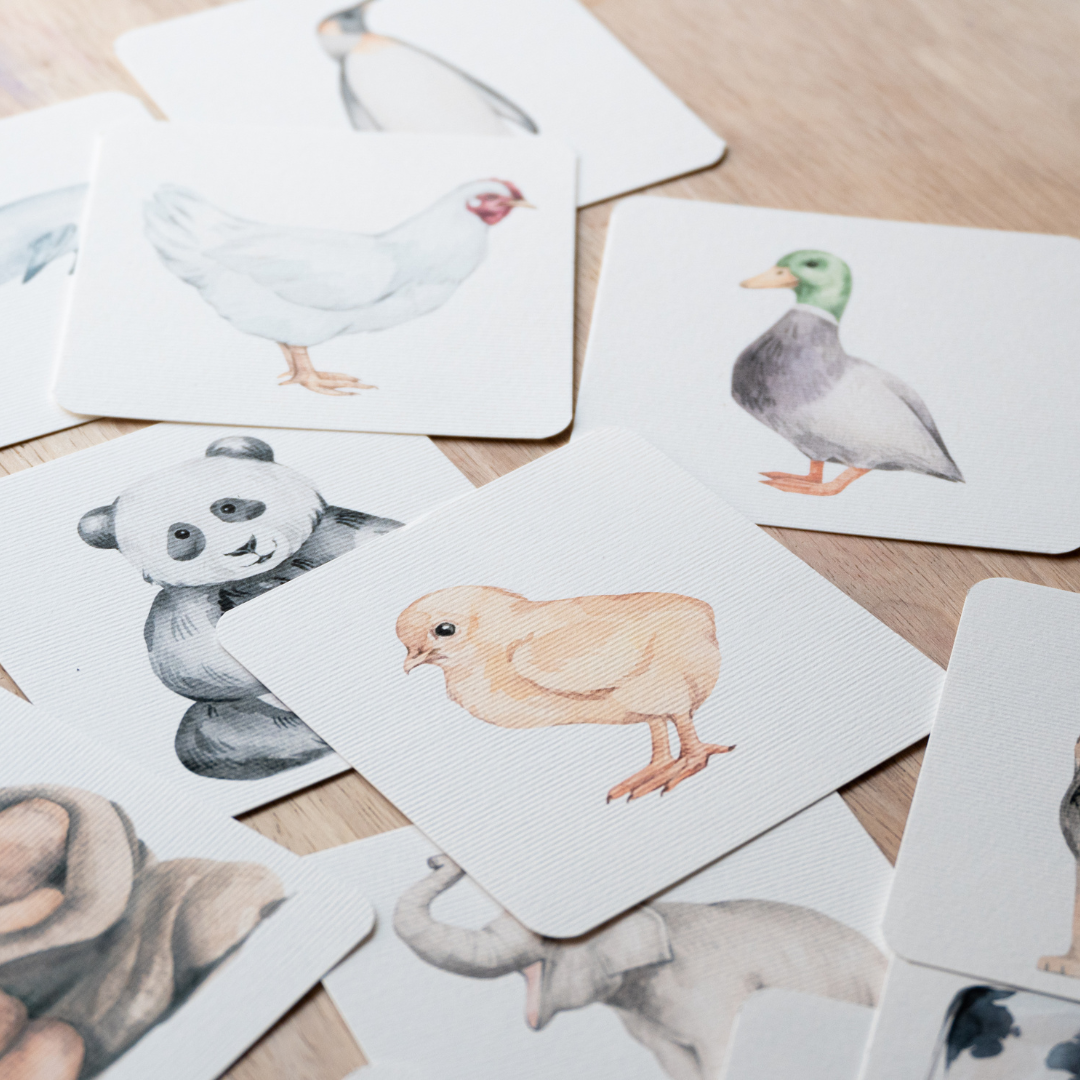 Edukativne kartice za decu – set od 40/90 kartica za učenje životinja, voća, povrća i insekata