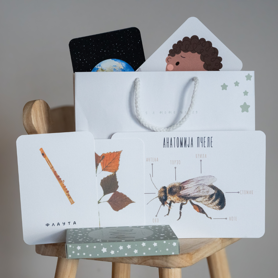 Kesica SVAŠTARICA 100+ kartica