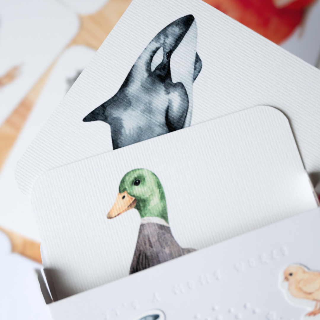 Feleričan set za progovaranje