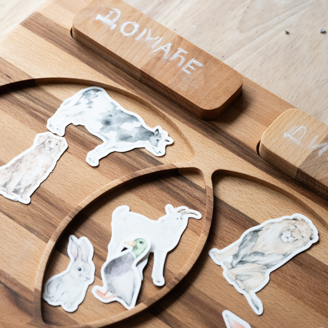 Drvena edukativna tabla – Skupovi i razvrstavanje