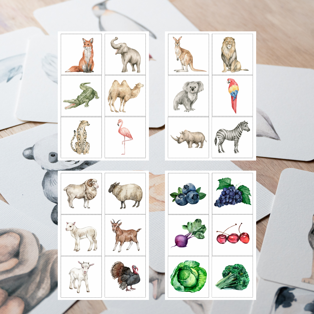 Digitalne kartice za decu PDF – set od 90 kartica za učenje životinja, voća, povrća i insekata