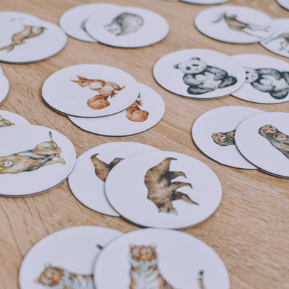 Igra memorije – Divlje životinje