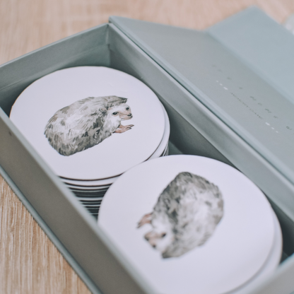 Igra memorije – Divlje životinje