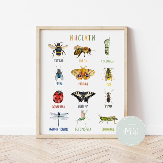 Edukativni poster za decu – Insekti